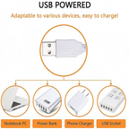 Custom LED Neon Sign for Bedroom, Bar & Party